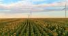 How to improve the social acceptance of ecological transition projects