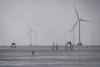 Green transition: Pay the Least, Benefit the Most