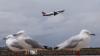Australia’s Jetstar to charge for carry-on bags