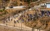 Europe Cannot Afford to Ignore the Lessons of Ceuta’s Border Collapse
