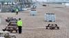 Woman in her 20s ‘raped on Brighton beach’ as cops put up huge cordon with man, 28, arrested