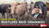 MP raises concerns over cross-border cattle theft