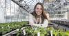 Maximising the impact of publicly funded research at Norwich Research Park
