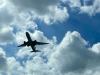 Memphis advocates call on private airport to stop servicing ICE detention flights