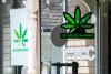 NC House leaves hemp ban unresolved after dueling pressure campaigns