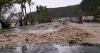 Damage from Bavi still being assessed as officials decry red tape at industry forum