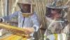 House of Honey in Al Hamra enriches tourist experience, reflects Omani heritage