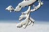 Where snow could fall as icy weather grips South Africa