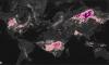How bad are the wildfire emissions in your area? Interactive map reveals just how polluted the air is - as major fires continue to rage across Europe and North America