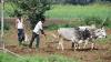 Nanded's 5 Farmers To Visit Europe, China On Study Tour