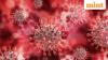 Chandipura virus outbreak: Centre deploys national response team to Gujarat and Rajasthan