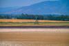 Heat & Drought Put This July Into Hungary's Record Books