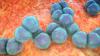 Invasive Strep A Infections Surge in Austrian Children
