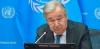 Africa bears heavy burden of biodiversity loss – UN