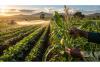 Farmers urged to adopt resilient seeds to increase food security