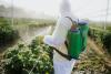 Working with pesticides could raise your risk of ALS, new study finds