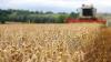 Wheat and barley reserves sufficient for nearly 10 months; essential commodities for 2–4 months