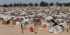 Nigeria Must Close IDP Camps in 2 years, Build New Communities to Rescue Lost Generation — PeacePro