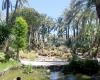 Huerto del Cura in Elche joins Europe’s prestigious historic gardens network