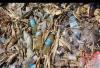 Juba City Council warns of action against illegal garbage dumping
