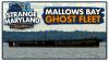 Mallows Bay Ghost Fleet: Exploring Maryland’s Sunken Ship Graveyard