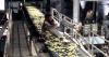 Soylent Green 4K Review: Charlton Heston’s Dystopian Sci-Fi Classic Still Packs a Punch