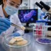 Bioengineered Chewing Gum Cut Oral HPV Levels by 93% in Patient Samples, Penn Researchers Report