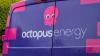 Octopus Energy confirms £227 off bills for households with one appliance