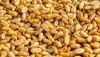Ukraine faces $3bn grain export loss as Russia's blockade empties Odesa of ships