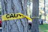 Burnt Cedar Beach tree poisonings could exceed $300,000 in damage