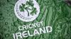 Weather sees Ireland's clash with Afghanistan cancelled