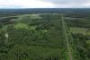While the forest market stagnates, Latvijas valsts meži acquires the largest land portfolio in its history