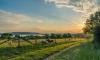 Agri-tourism model proposedfor resettlement farms
