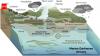 Why the oceans go dark for short periods of time: New Zealand scientists developed world’s first method to detect sudden darkwaves in the oceans