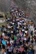 Half of Americans feel free to express political views, study finds