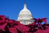 Senate aims to pass government funding this week to avoid shutdown