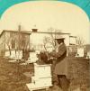 Bee House reopening at Canterbury Shaker Village