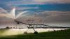 Study Shows State Lost $9B In Failing To Pursue Irrigation Development