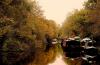 UK Drought 2026: Hosepipe Ban Areas & Holiday Impact