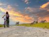 The Top 9 National Parks and Reserves in Kenya To Visit in the Fall