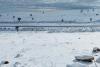 Harrismith: South Africa’s official snow capital every winter