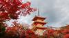 Japan Autumn 2026: Foliage Peak Dates & When to Book