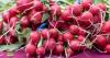 Vote opens for Portland area’s best farmers market in 2026