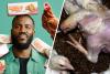 Netflix’s ‘Big Chicken: Fast Food Conspiracy’ Documentary Will Make You Swear Off Fried Chicken For Life