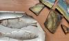 Archaeologists uncover treasures of Vilnius’ Great Synagogue as Jews dispute its future