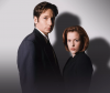 X-Files Director's Cut Exposes Head-Transplant Science Fox Scrubbed From 2008 Film