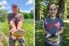 Two Local West Virginia Anglers Catch State Record Pumpkinseed Sunfish in June, July, Respectively
