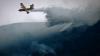 Wildfires have burned 70,000 hectares in Italy so far this summer says WWF