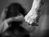 Is government doing enough to help fight GBV?
