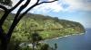 House panel backs $10 million a year for rapid-response invasive species teams in Hawaiʻi